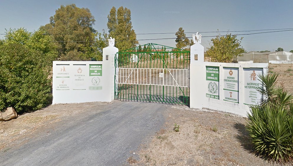 complejo residencial de animalales gibraleon